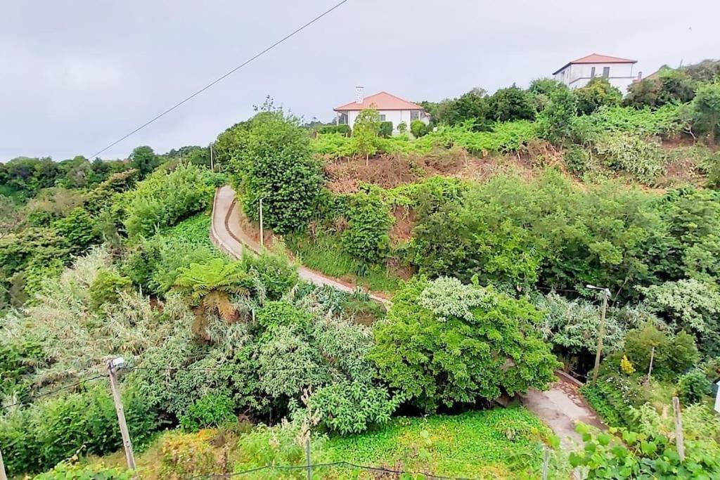 Santana Central Garden Wifi Park Quiet Area 12D Santana (Madeira) Exterior foto